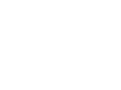 byd.png