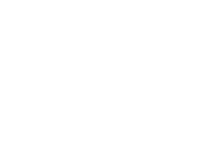 fiat.png