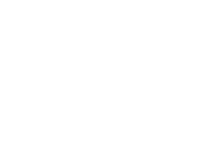 ford.png