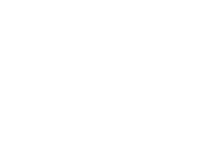 nissan.png