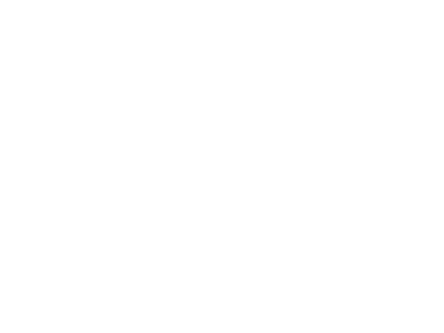 toyota.png