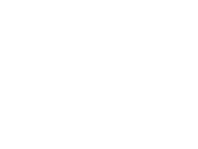 vw.png
